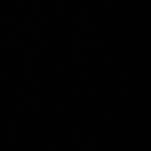 Meet your Posher, Jerry